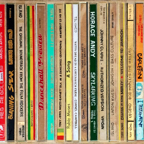 CD-theque Reggae (detail), 2005, Acrylic painting on wood - 85 x 45 x 2,5 cm.